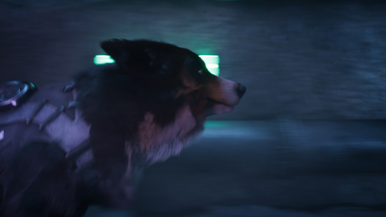 動作潛行遊戲《Barkour》Steam頁面上線 支援中文 動作潛行遊戲《Barkour》Steam頁面上線 支援中文