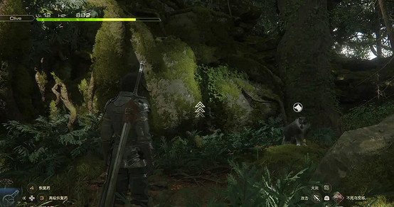 《最終幻想16》顯化者的行蹤任務攻略 《最終幻想16》顯化者的行蹤任務攻略