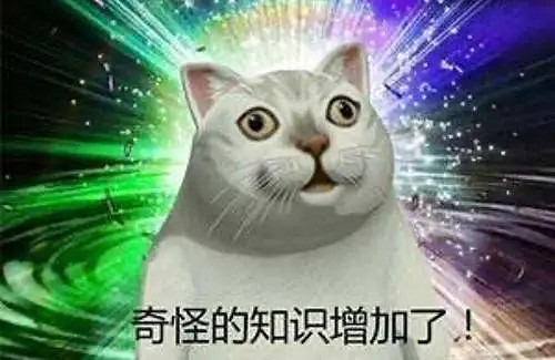 網易“共享衣櫥”被哄搶,五千萬件高奢時裝一夜搶空?來這裡玩的人有福了 網易“共享衣櫥”被哄搶,五千萬件高奢時裝一夜搶空?來這裡玩的人有福了