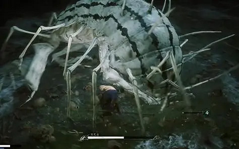 《黑神話悟空》百足蟲原型 《黑神話悟空》百足蟲原型