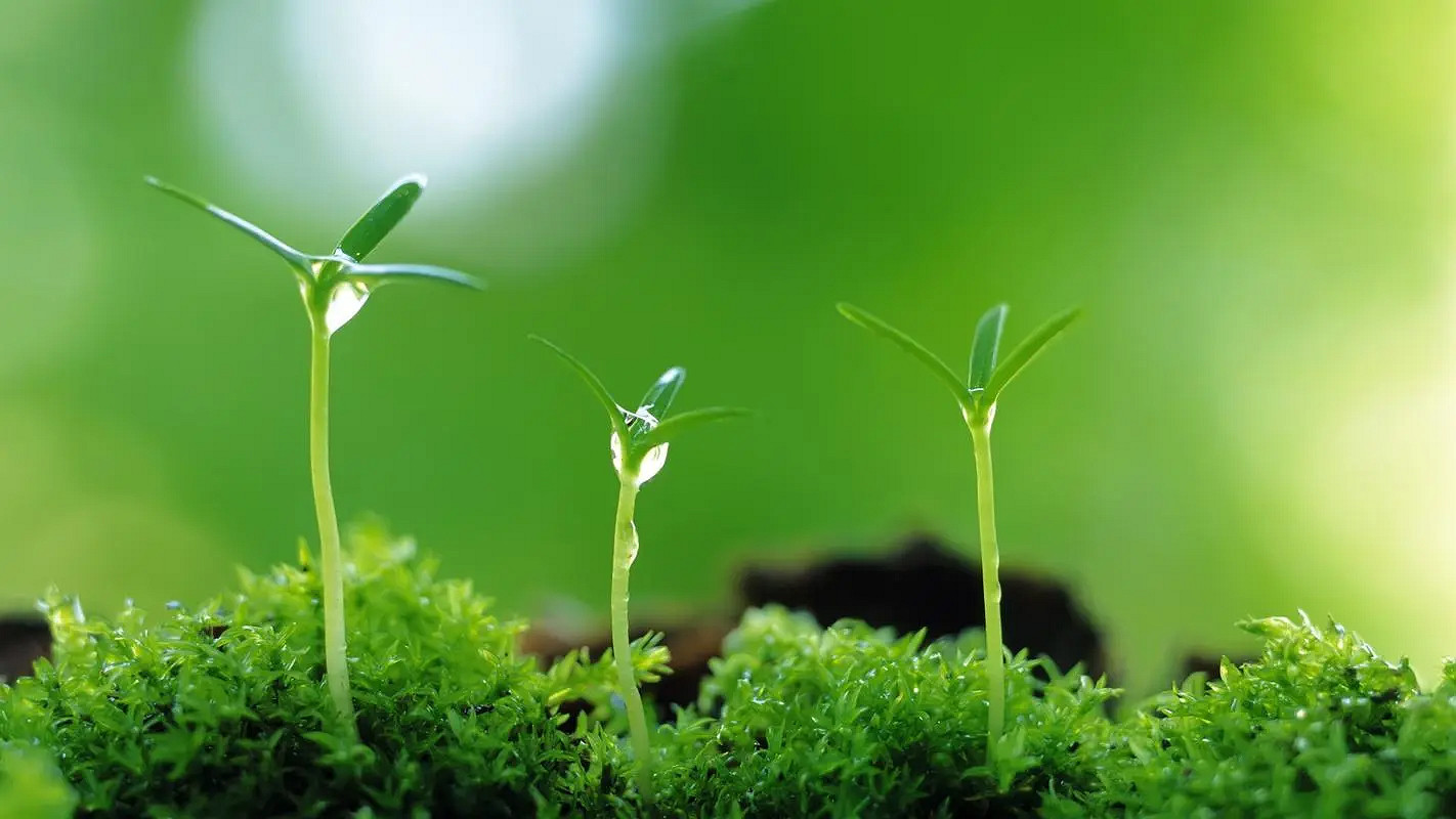 《英雄聯盟》特殊符號大全複製2024 《英雄聯盟》特殊符號大全複製2024