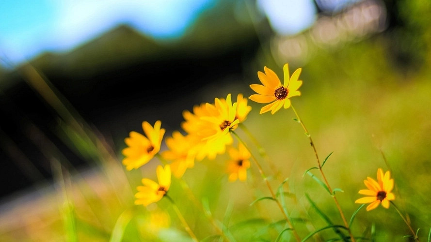 《英雄聯盟》id名字匯總可複製2024最新