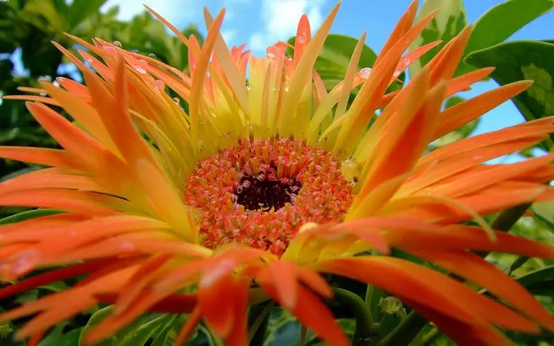 《英雄聯盟》特殊符號大全複製2024 《英雄聯盟》特殊符號大全複製2024