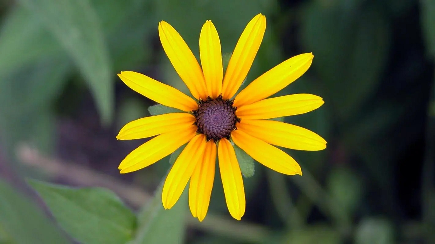 《英雄聯盟》特殊符號大全複製2024 《英雄聯盟》特殊符號大全複製2024