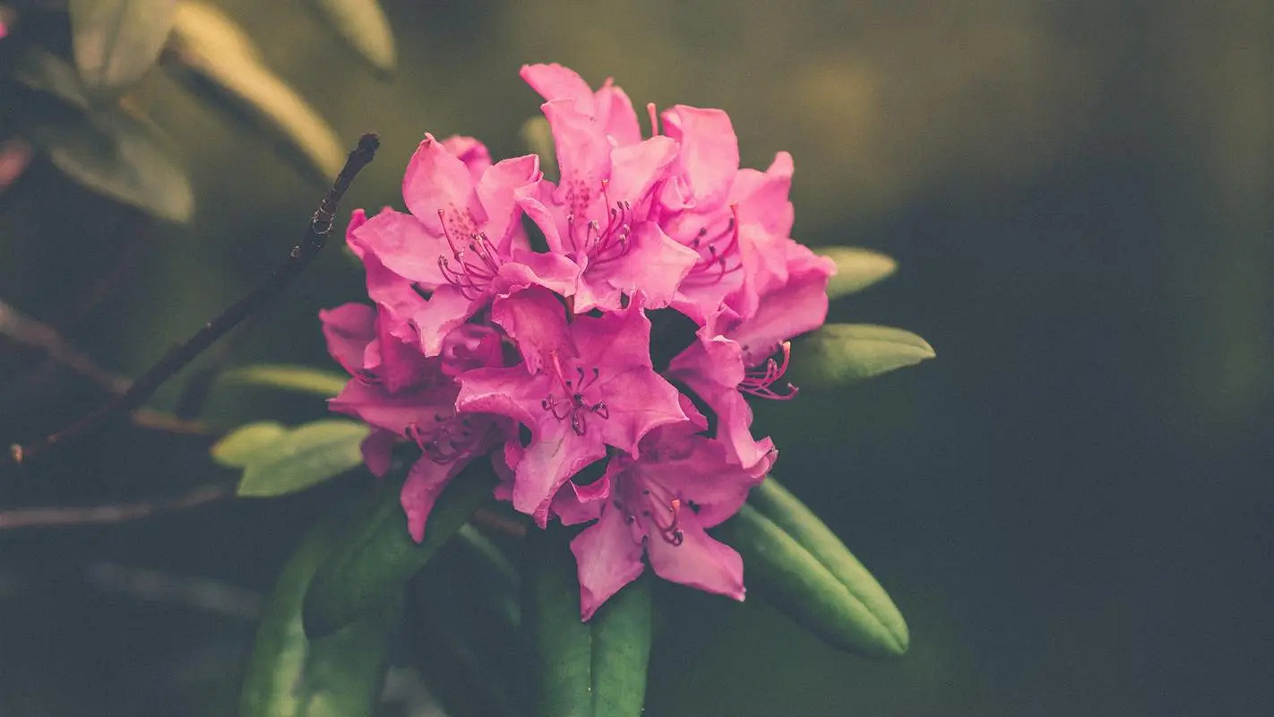 《英雄聯盟》特殊符號大全複製2024 《英雄聯盟》特殊符號大全複製2024