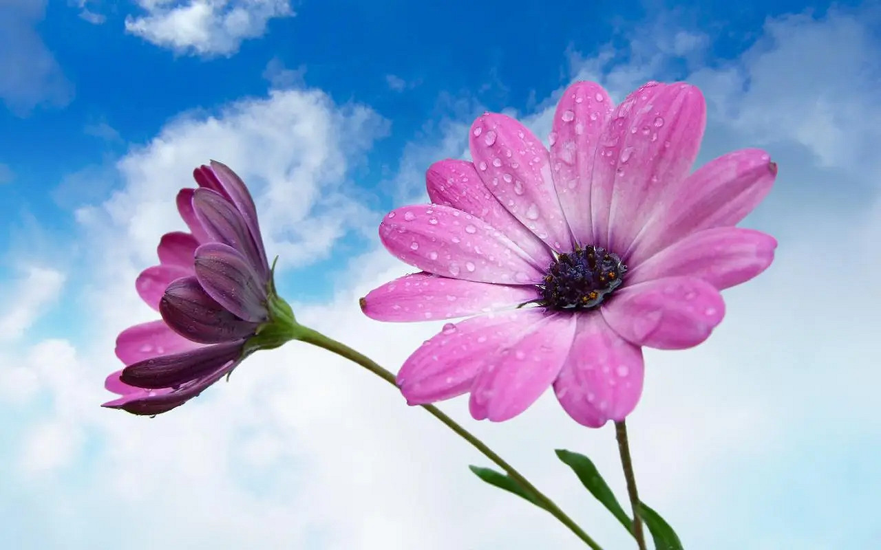 《英雄聯盟》id名字匯總可複製2024最新