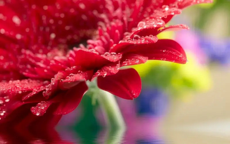 《英雄聯盟》特殊符號大全複製2024 《英雄聯盟》特殊符號大全複製2024