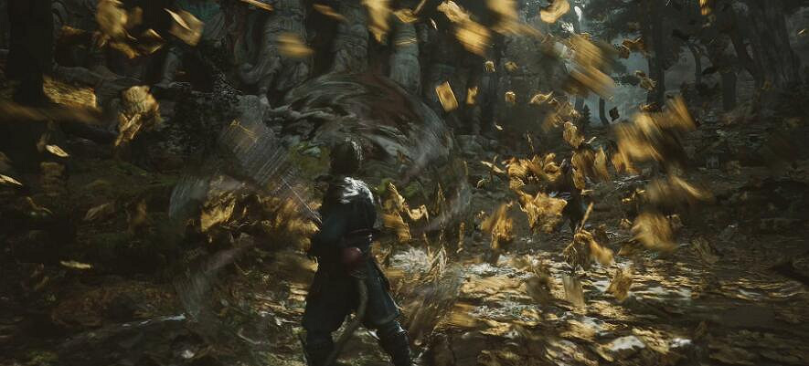 《黑神話悟空》D加密詳情介紹