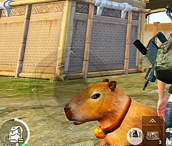 和平精英動物叢林動物一覽 和平精英動物叢林動物一覽