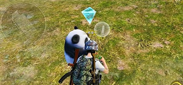 和平精英動物叢林玩法介紹 和平精英動物叢林玩法介紹