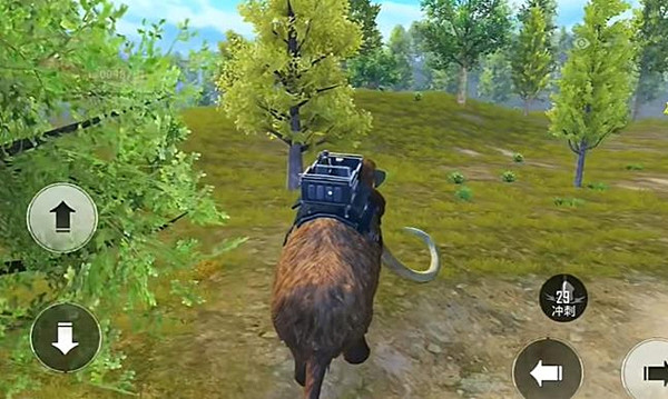 和平精英動物叢林動物一覽 和平精英動物叢林動物一覽