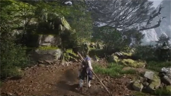 《黑神話悟空》根基一覽 《黑神話悟空》根基一覽