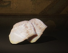 《黑神話悟空》要緊物事一覽