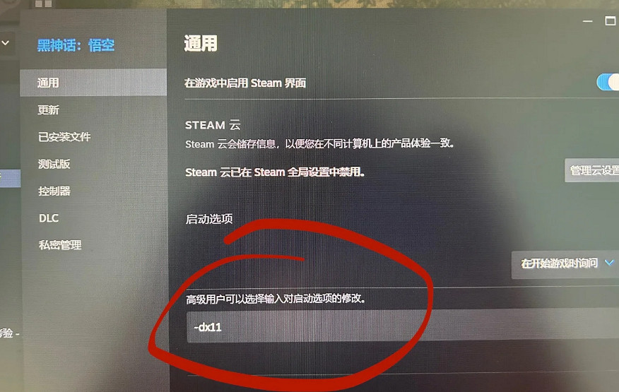 《黑神話悟空》DLSS幀生成問題解決辦法