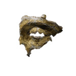 《黑神話悟空》材料一覽