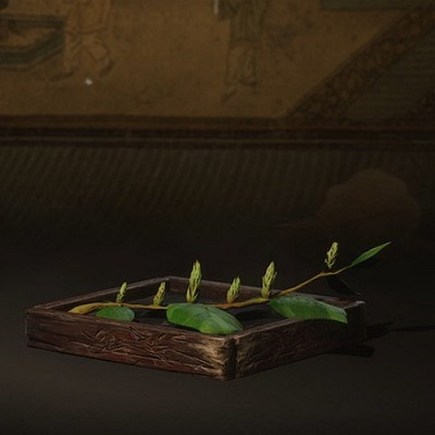 《黑神話悟空》全酒食介紹