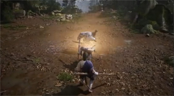 《黑神話悟空》根基一覽 《黑神話悟空》根基一覽