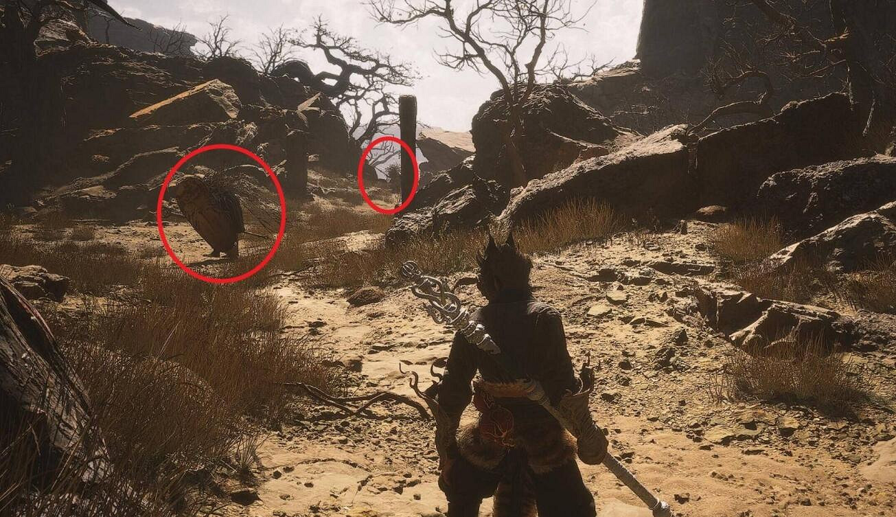 《黑神話悟空》玲瓏內丹獲得方法 《黑神話悟空》玲瓏內丹獲得方法