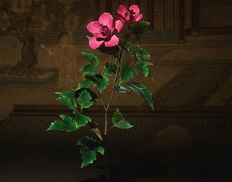 《黑神話悟空》藥材圖鑒一覽