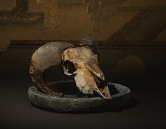 《黑神話悟空》酒食圖鑒一覽