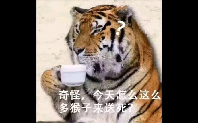 《黑神話:悟空》大戰虎先鋒!三拳打碎了我的大聖夢 《黑神話:悟空》大戰虎先鋒!三拳打碎了我的大聖夢