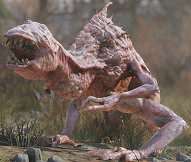 異塵餘生76鳥形龍在哪 異塵餘生76鳥形龍在哪