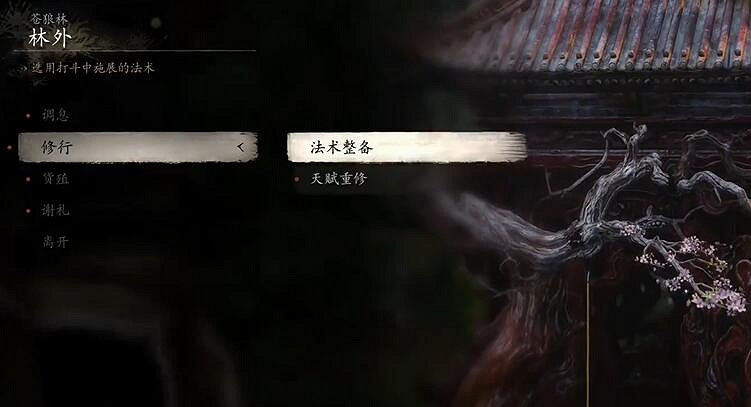 《黑神話悟空》洗點位置