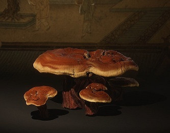 《黑神話悟空》藥材圖鑒一覽