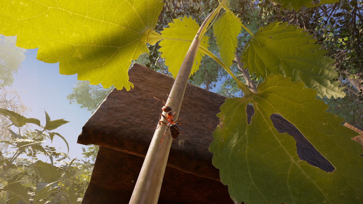 策略遊戲《螞蟻帝國》預購開啟 售價約新台幣619元 策略遊戲《螞蟻帝國》預購開啟 售價約新台幣619元