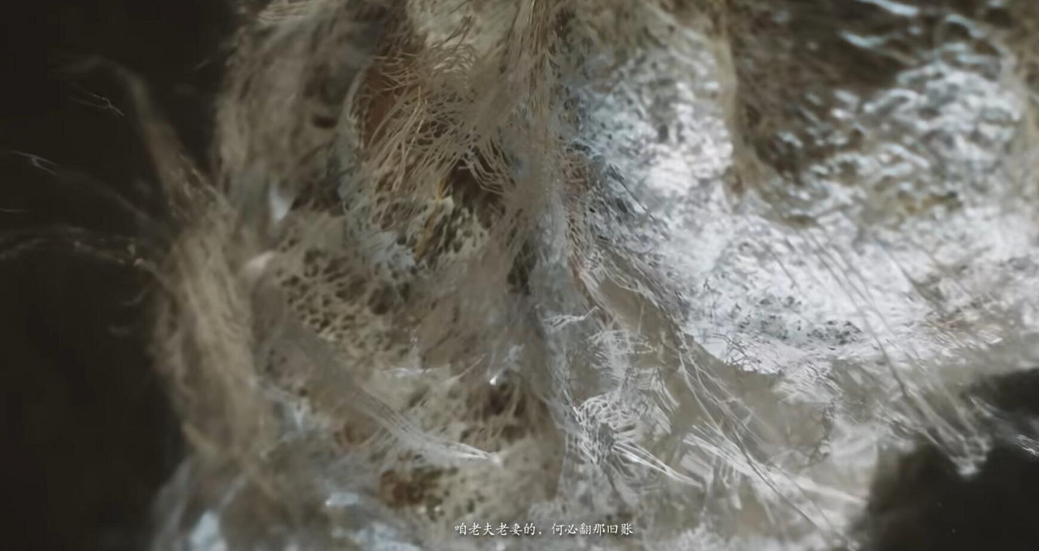 《黑神話悟空》蜘蛛精劇情介紹