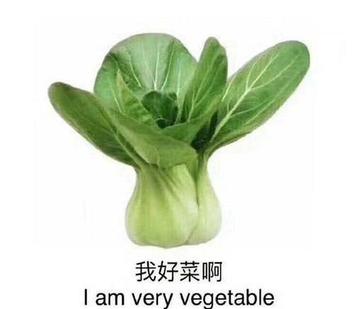 《黑神話》發售3天,主創的“待遇”已經和宮崎英高一樣了 《黑神話》發售3天,主創的“待遇”已經和宮崎英高一樣了