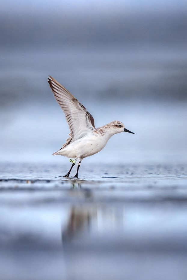 天涯明月刀OL 99公益節一起玩遊戲做好事，各路豪傑集聚爭奪月下第一人殊榮！