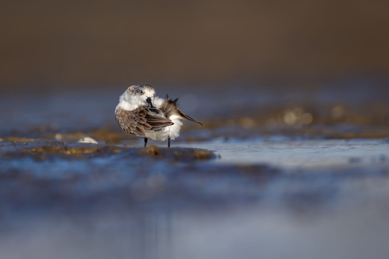 天涯明月刀OL 99公益節一起玩遊戲做好事，各路豪傑集聚爭奪月下第一人殊榮！