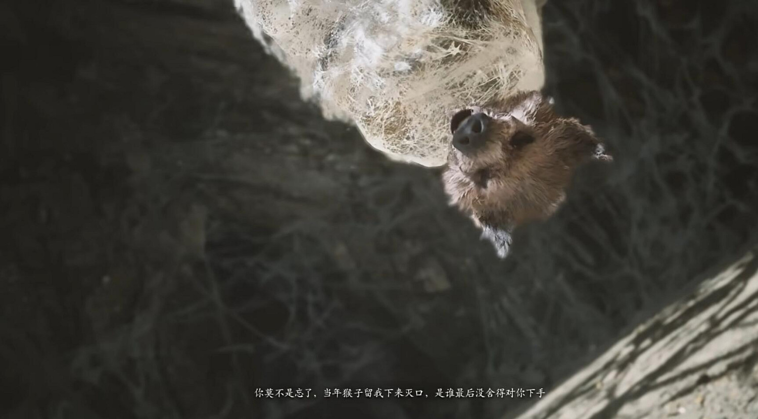 《黑神話悟空》蜘蛛精劇情介紹