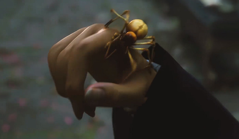 《黑神話悟空》蜘蛛精四姐名字介紹 《黑神話悟空》蜘蛛精四姐名字介紹