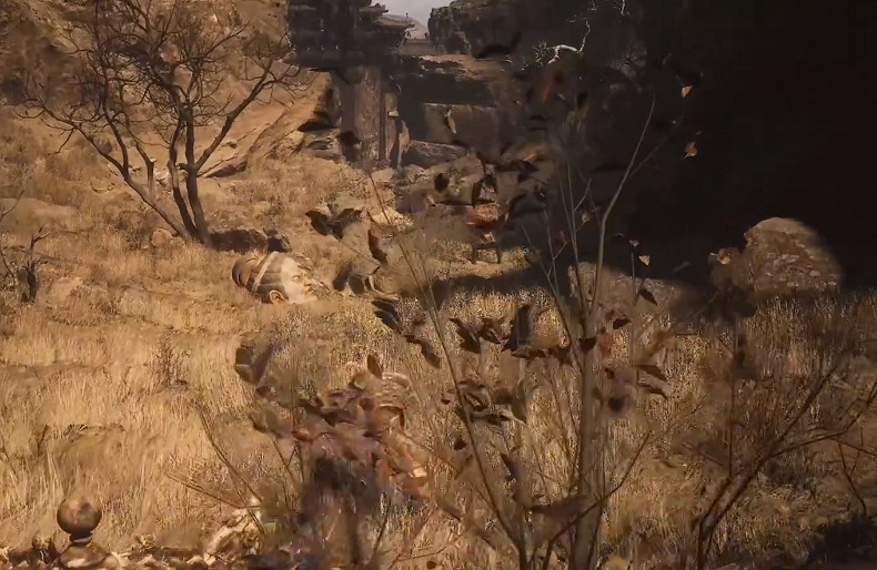 《黑神話悟空》佛目珠獲得方法