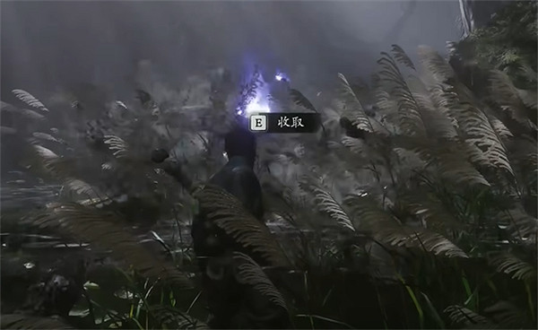 《黑神話悟空》沒有點化解決方法