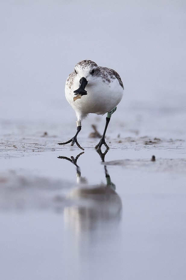 天涯明月刀OL 99公益節一起玩遊戲做好事，各路豪傑集聚爭奪月下第一人殊榮！