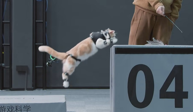 三圈幹碎大聖夢!《黑神話》虎先鋒動捕原型竟是隻貓 三圈幹碎大聖夢!《黑神話》虎先鋒動捕原型竟是隻貓