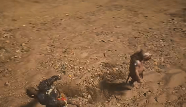 《黑神話悟空》沙國王沙二郎打法技巧圖文攻略詳解