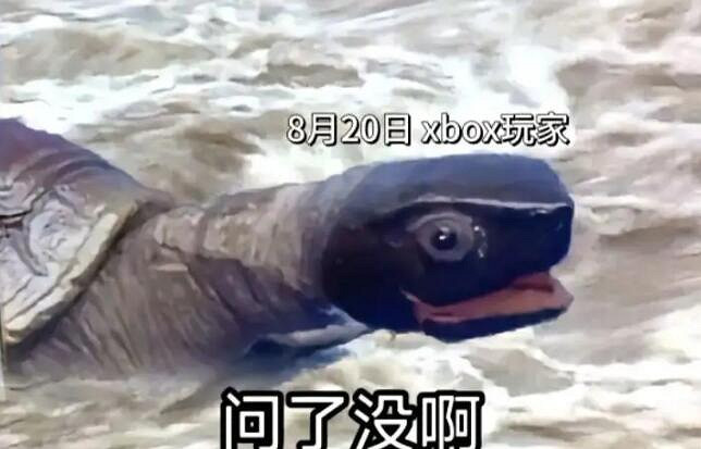 《黑神話悟空》啟動表情包一覽