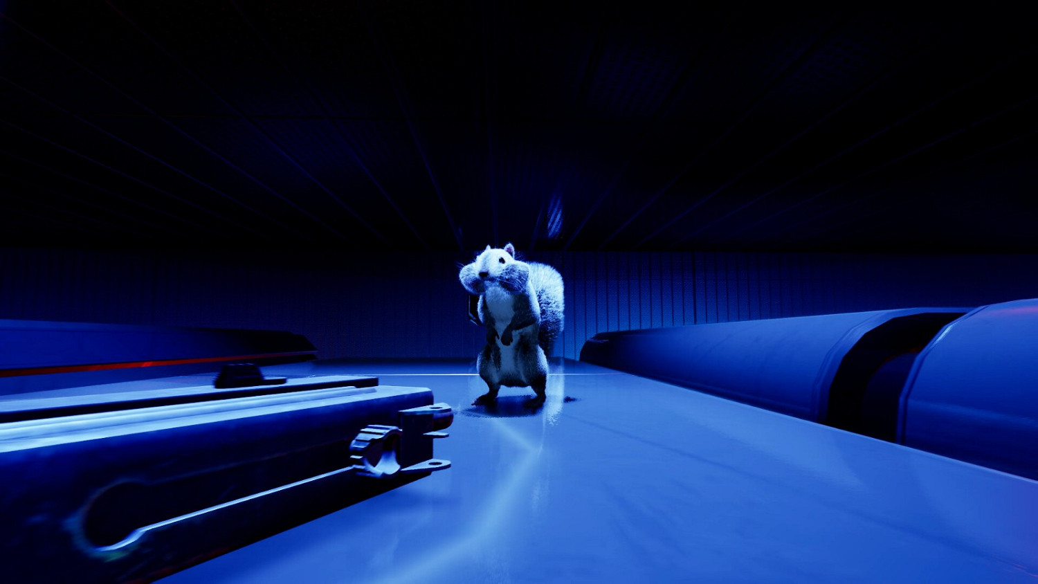 《持槍鬆鼠》主機版10月15日推出 PC版本月上線 《持槍鬆鼠》主機版10月15日推出 PC版本月上線