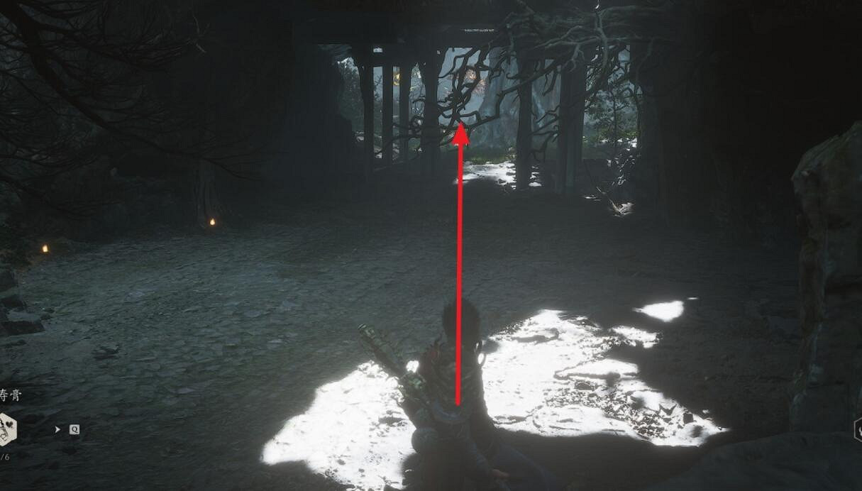 《黑神話悟空》定顏珠獲取方法