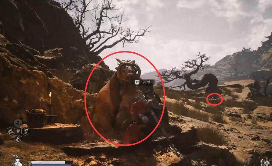 《黑神話悟空》黃金國支線任務圖文流程攻略詳解