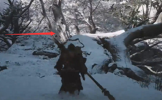 《黑神話悟空》極樂谷全土地廟位置一覽