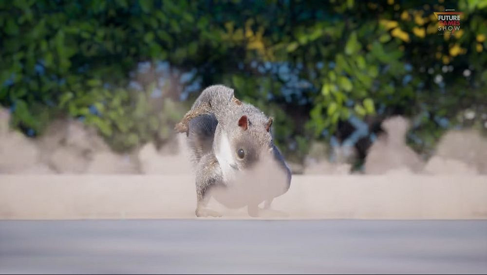 《持槍鬆鼠》PC版即將發售 萌趣與暴力的獨特結合 《持槍鬆鼠》PC版即將發售 萌趣與暴力的獨特結合