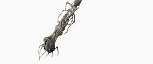 《黑神話悟空》棍子數量介紹 《黑神話悟空》棍子數量介紹