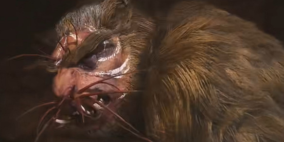 《黑神話悟空》第二章Boss順序攻略 《黑神話悟空》第二章Boss順序攻略