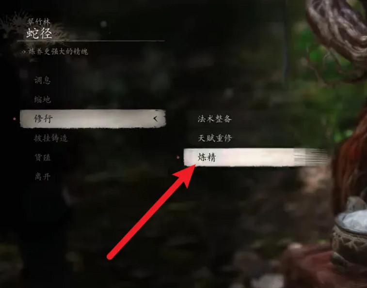 《黑神話悟空》鐵中血使用方法 《黑神話悟空》鐵中血使用方法