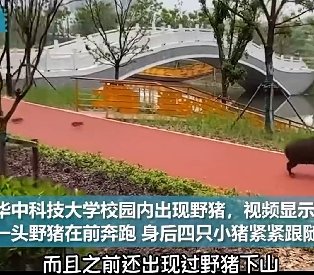 《黑神話:悟空》彩蛋!遊戲裡的黃風嶺竟然是華科大 《黑神話:悟空》彩蛋!遊戲裡的黃風嶺竟然是華科大